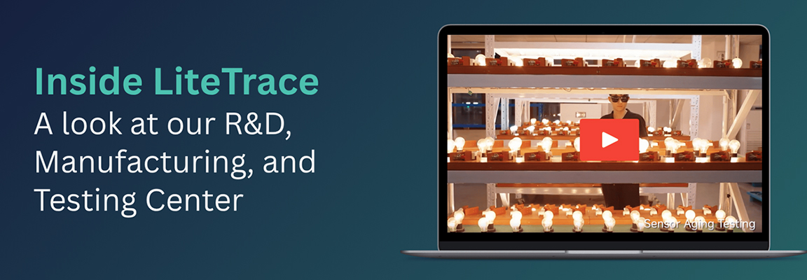 Newsletter November 2025 Edition